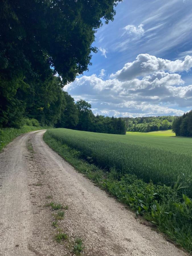 Ferienwohnung Zur Roni Treuchtlingen Exterior foto