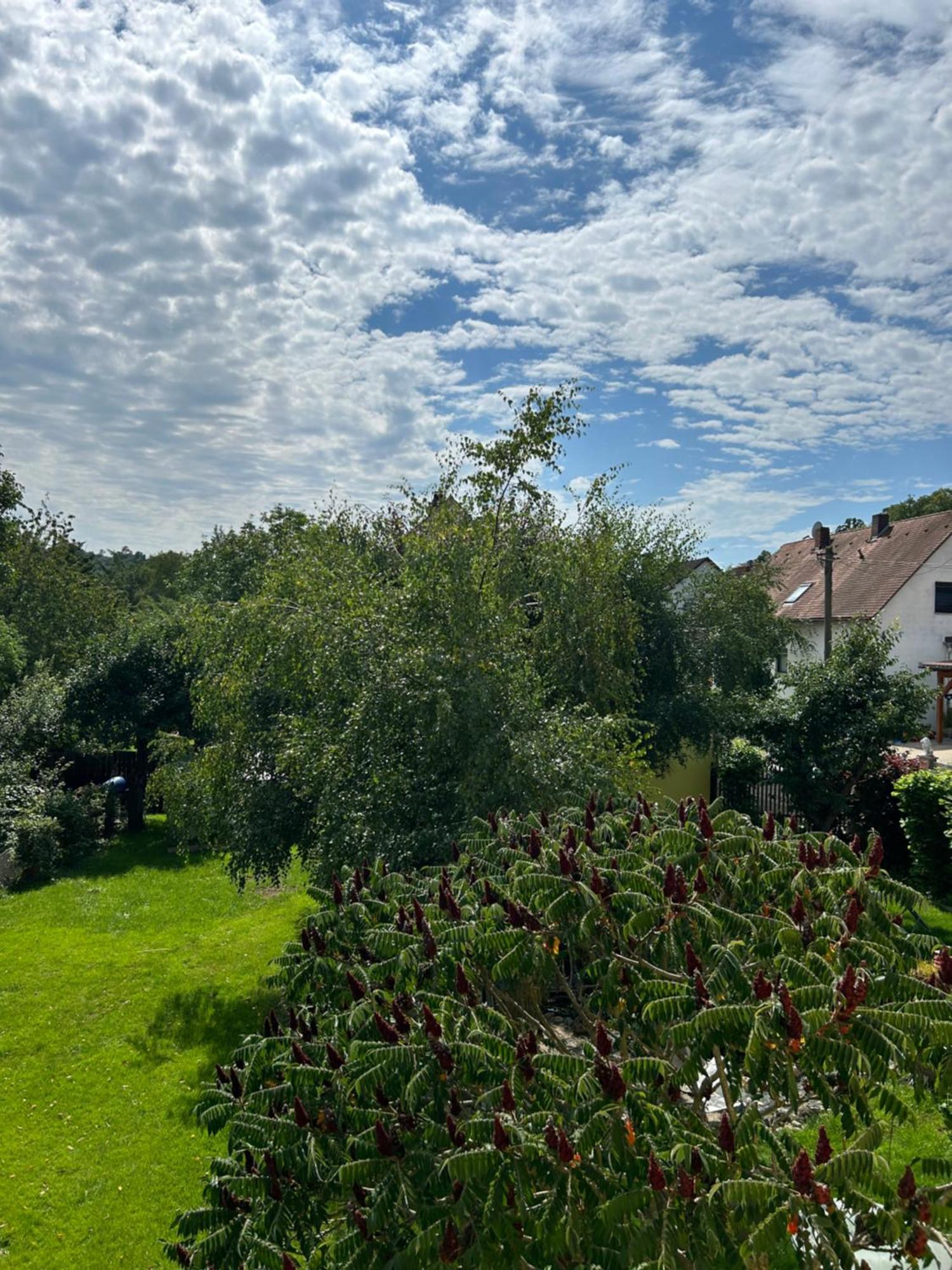 Ferienwohnung Zur Roni Treuchtlingen Exterior foto